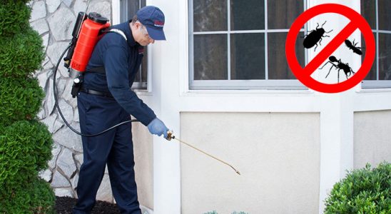 Seydişehir Kene İlaçlama böcek ilaçlama ve haşere kontrolü — ilaclama-tr.com